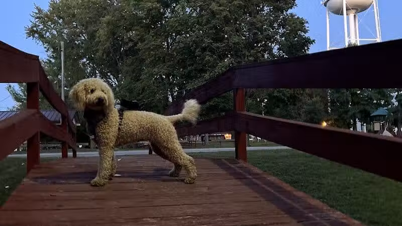 Schmidt Park - Altamont, IL