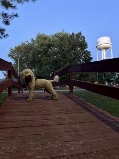 Schmidt Park - Altamont, IL