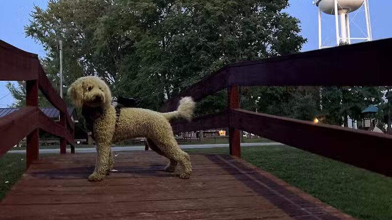 Schmidt Park - Altamont, IL