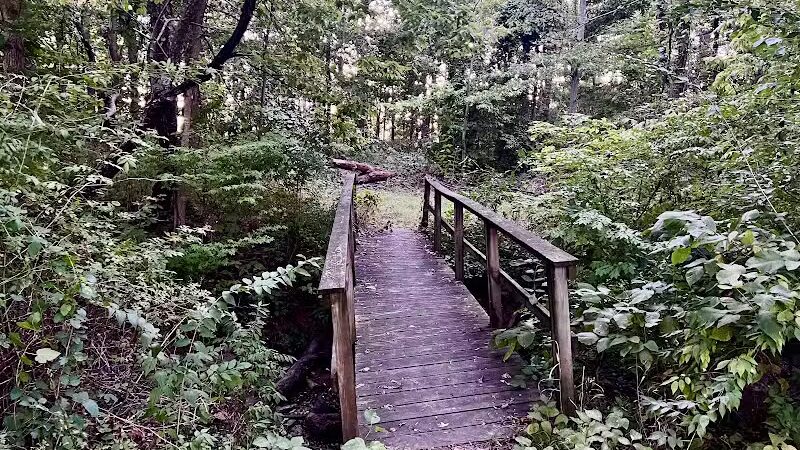 Schmidt Park - Altamont, IL