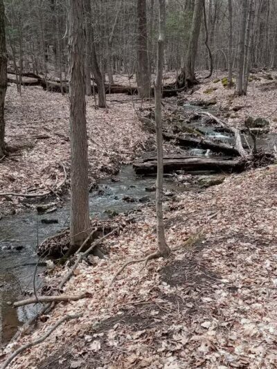 Glen Doone Pavilion - Altamont, NY