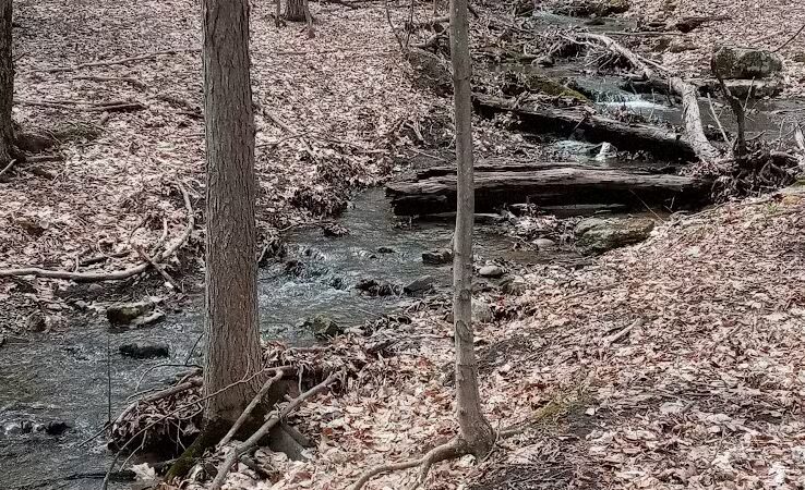 Glen Doone Pavilion - Altamont, NY