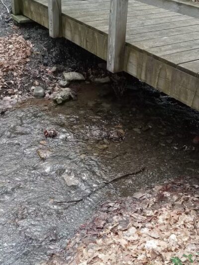 Glen Doone Pavilion - Altamont, NY