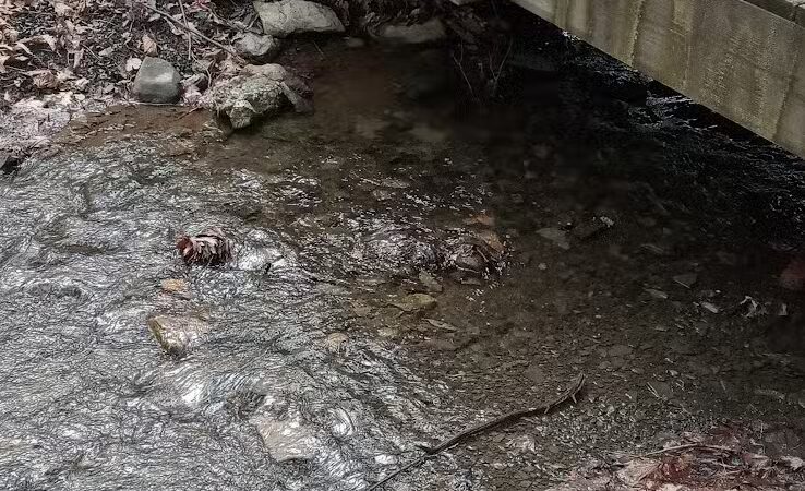 Glen Doone Pavilion - Altamont, NY