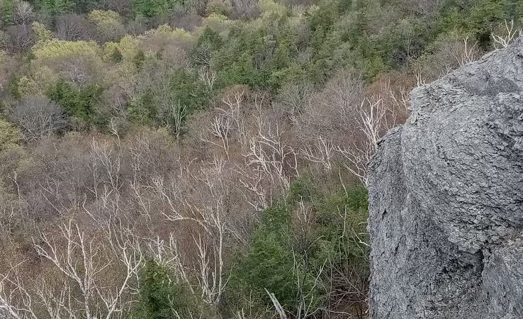 Glen Doone Pavilion - Altamont, NY