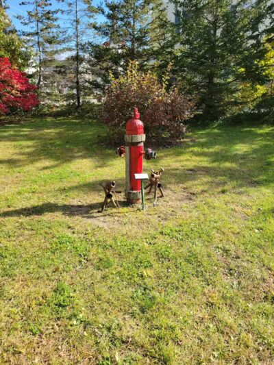 Schilling Park - Altamont, NY