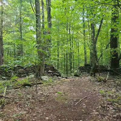 Wolf Creek Falls Preserve - Altamont, NY