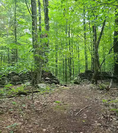 Wolf Creek Falls Preserve - Altamont, NY