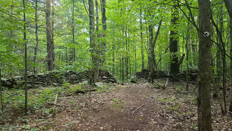 Wolf Creek Falls Preserve - Altamont, NY