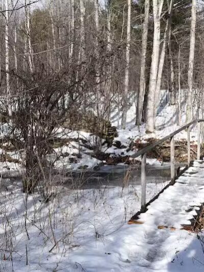 Wolf Creek Falls Preserve - Altamont, NY