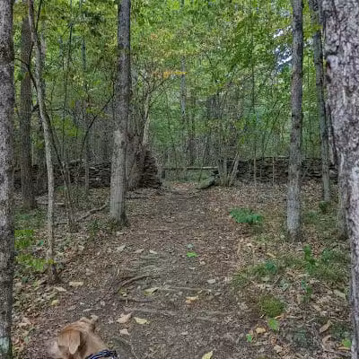 Wolf Creek Falls Preserve - Altamont, NY