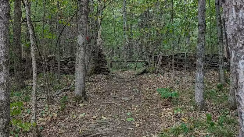 Wolf Creek Falls Preserve - Altamont, NY