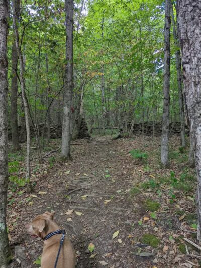 Wolf Creek Falls Preserve - Altamont, NY