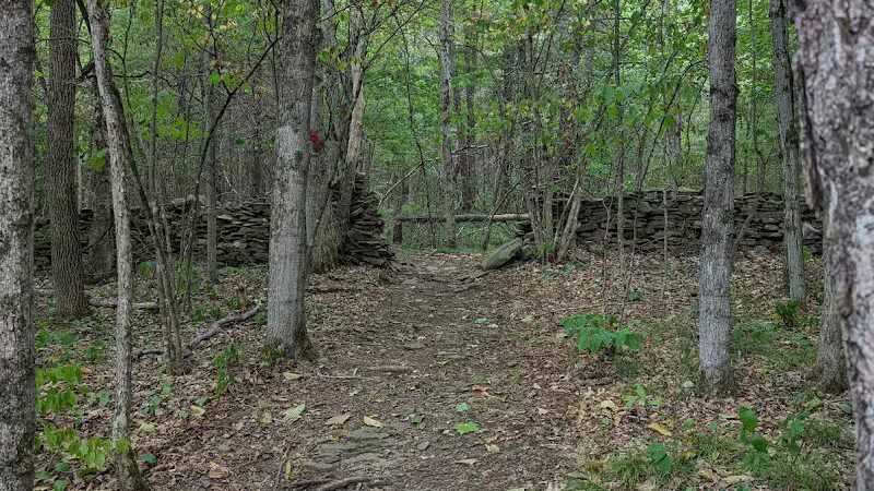 Wolf Creek Falls Preserve - Altamont, NY