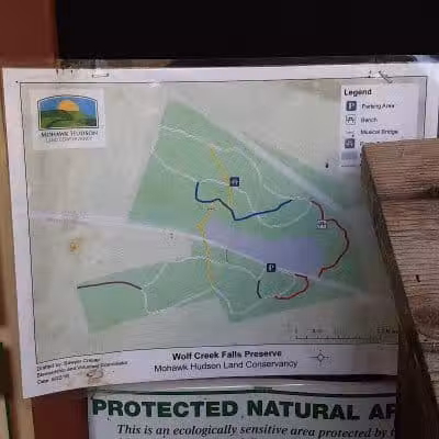 Wolf Creek Falls Preserve - Altamont, NY