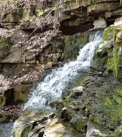 Wolf Creek Falls Preserve - Altamont, NY