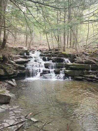 Wolf Creek Falls Preserve - Altamont, NY