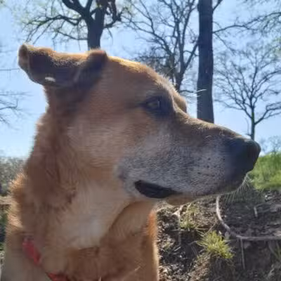 Alvarado Lake Park - Alvarado, TX