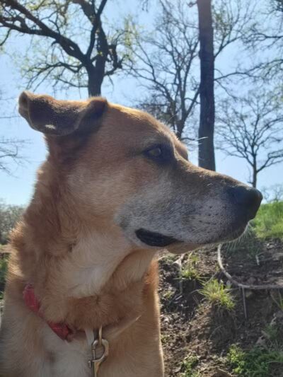 Alvarado Lake Park - Alvarado, TX