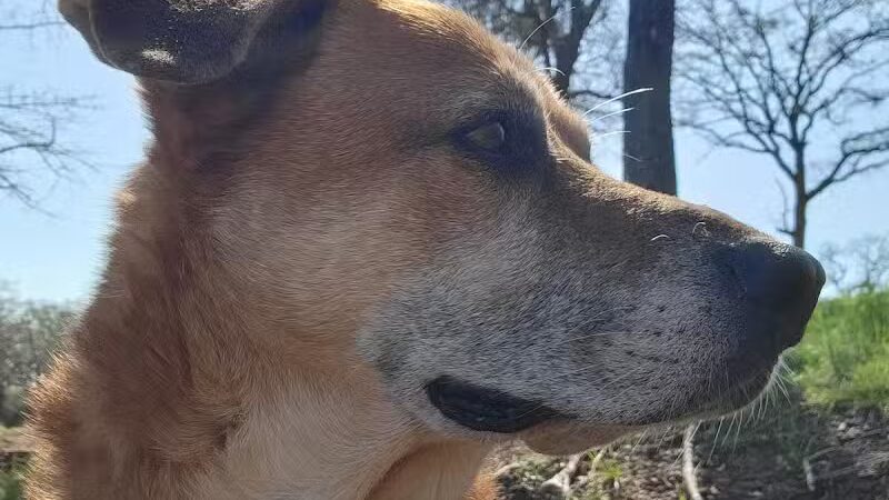 Alvarado Lake Park - Alvarado, TX