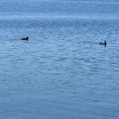 Alvarado Lake Park - Alvarado, TX