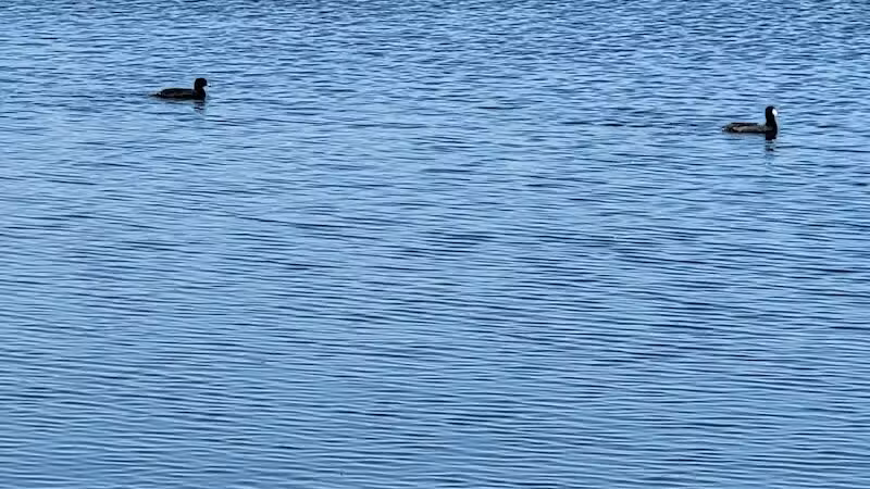 Alvarado Lake Park - Alvarado, TX