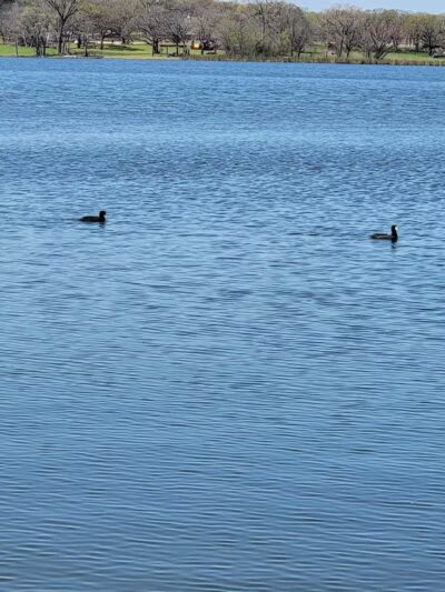 Alvarado Lake Park - Alvarado, TX