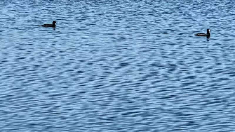 Alvarado Lake Park - Alvarado, TX