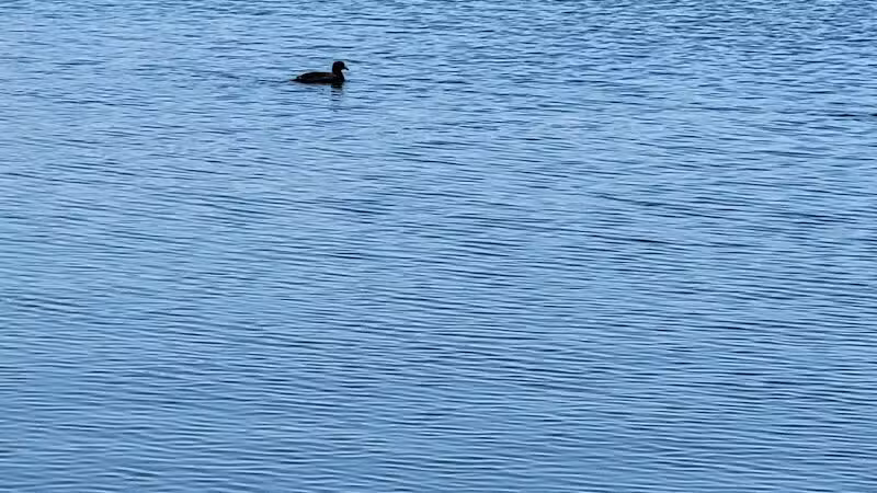 Alvarado Lake Park - Alvarado, TX