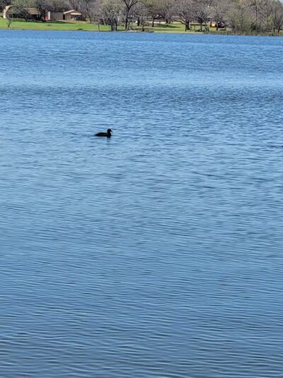 Alvarado Lake Park - Alvarado, TX