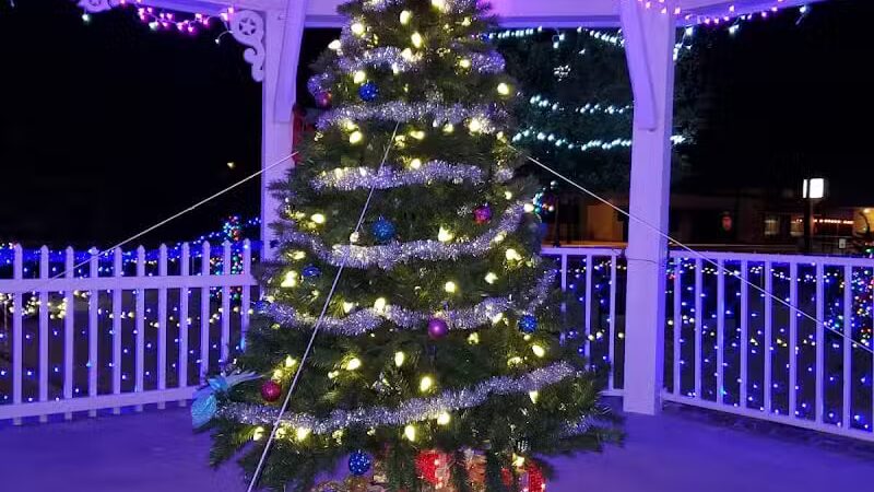 Alvarado Square - Alvarado, TX