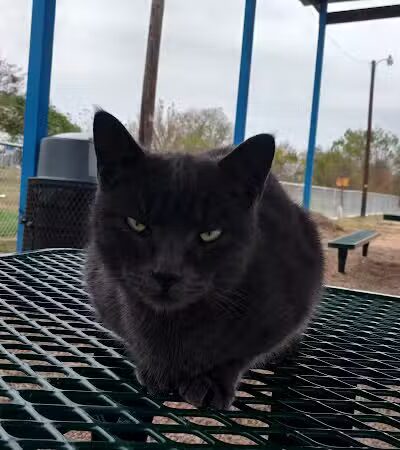 Carver Park - Alvarado, TX