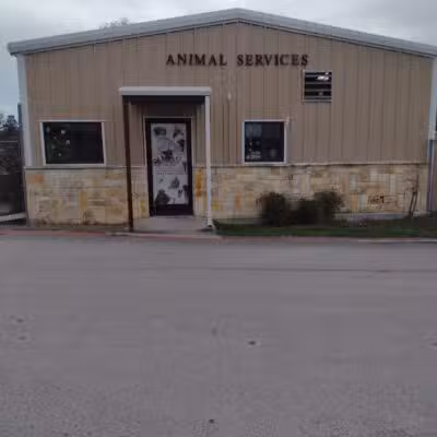 City of Alvarado's Animal Control - Alvarado, TX
