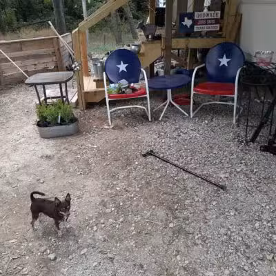 Dodge City RV Park - Alvarado, TX