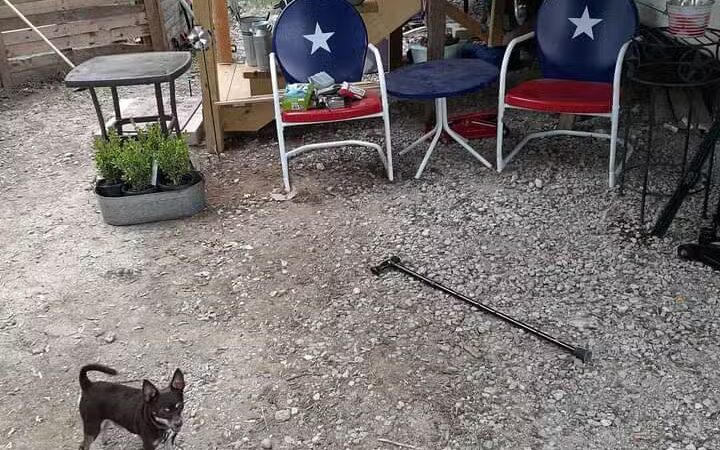 Dodge City RV Park - Alvarado, TX