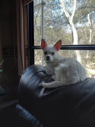 Dodge City RV Park - Alvarado, TX