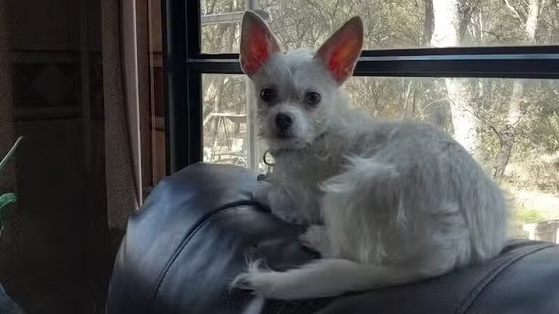 Dodge City RV Park - Alvarado, TX