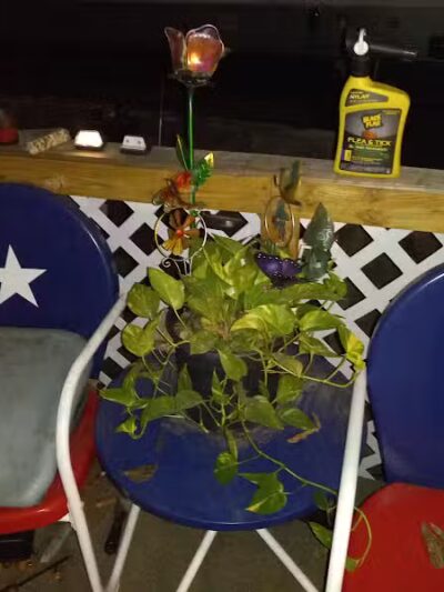 Dodge City RV Park - Alvarado, TX