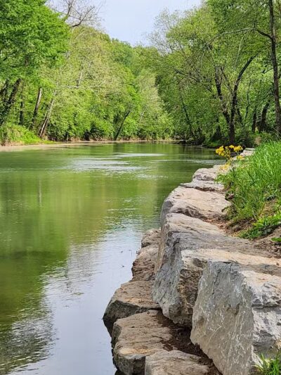Bark Park at Phil Moore Park - Alvaton, KY