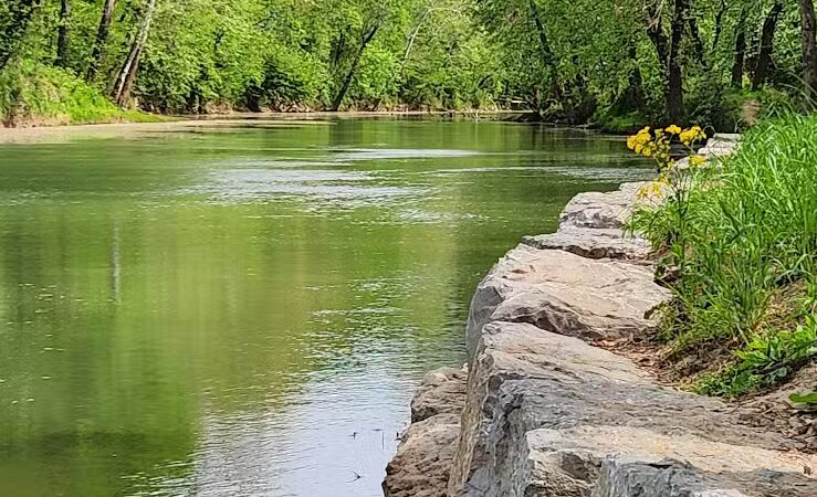 Bark Park at Phil Moore Park - Alvaton, KY