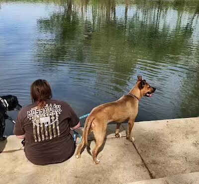 Bark Park at Phil Moore Park - Alvaton, KY