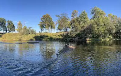 Bark Park at Phil Moore Park - Alvaton, KY