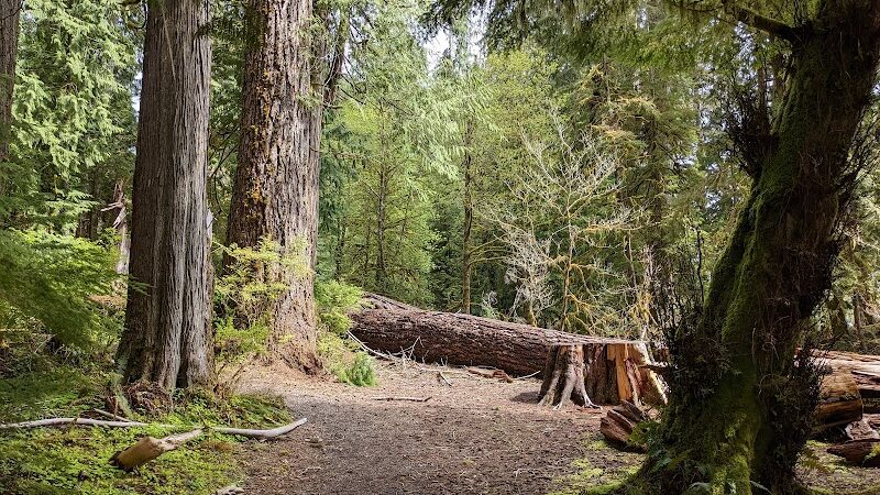 July Creek Picnic Area Trailhead - Amanda Park, WA