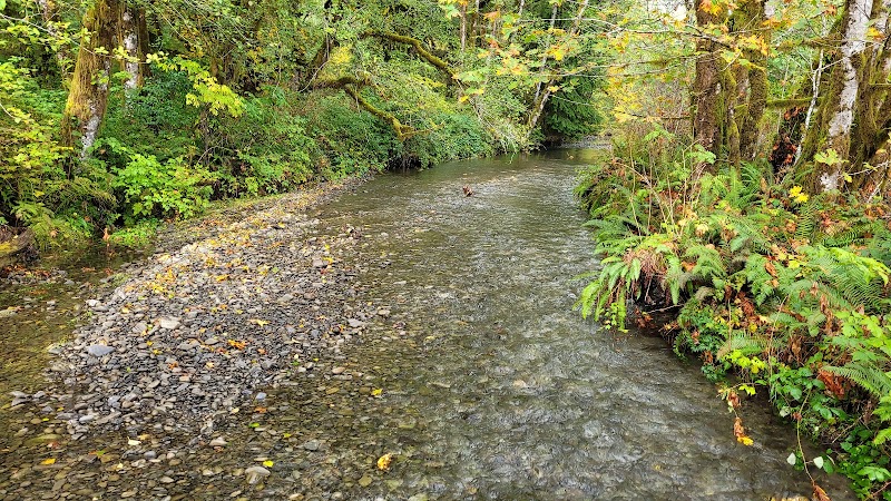 July Creek Picnic Area Trailhead - Amanda Park, WA