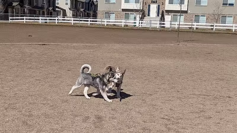 American Fork Dog Park - American Fork, UT
