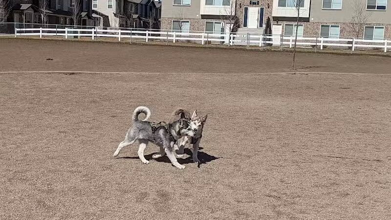 American Fork Dog Park - American Fork, UT