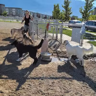 American Fork Dog Park - American Fork, UT