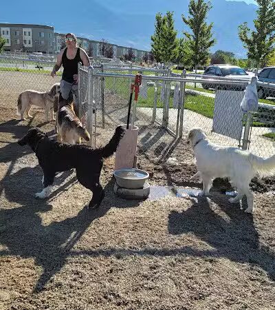 American Fork Dog Park - American Fork, UT