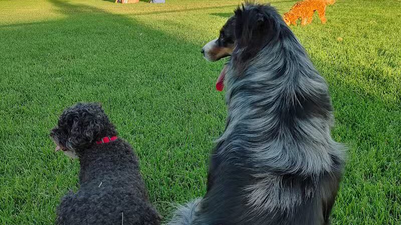 American Fork Dog Park - American Fork, UT