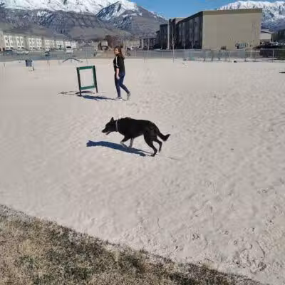 American Fork Dog Park - American Fork, UT